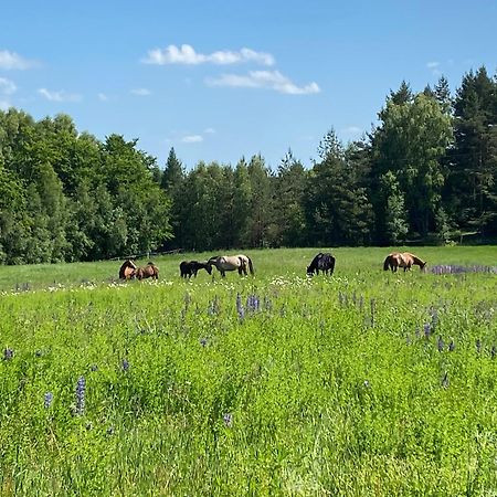Koziula - Domki I Lesne Spa Na Kaszubach Przywidz  Exteriér fotografie