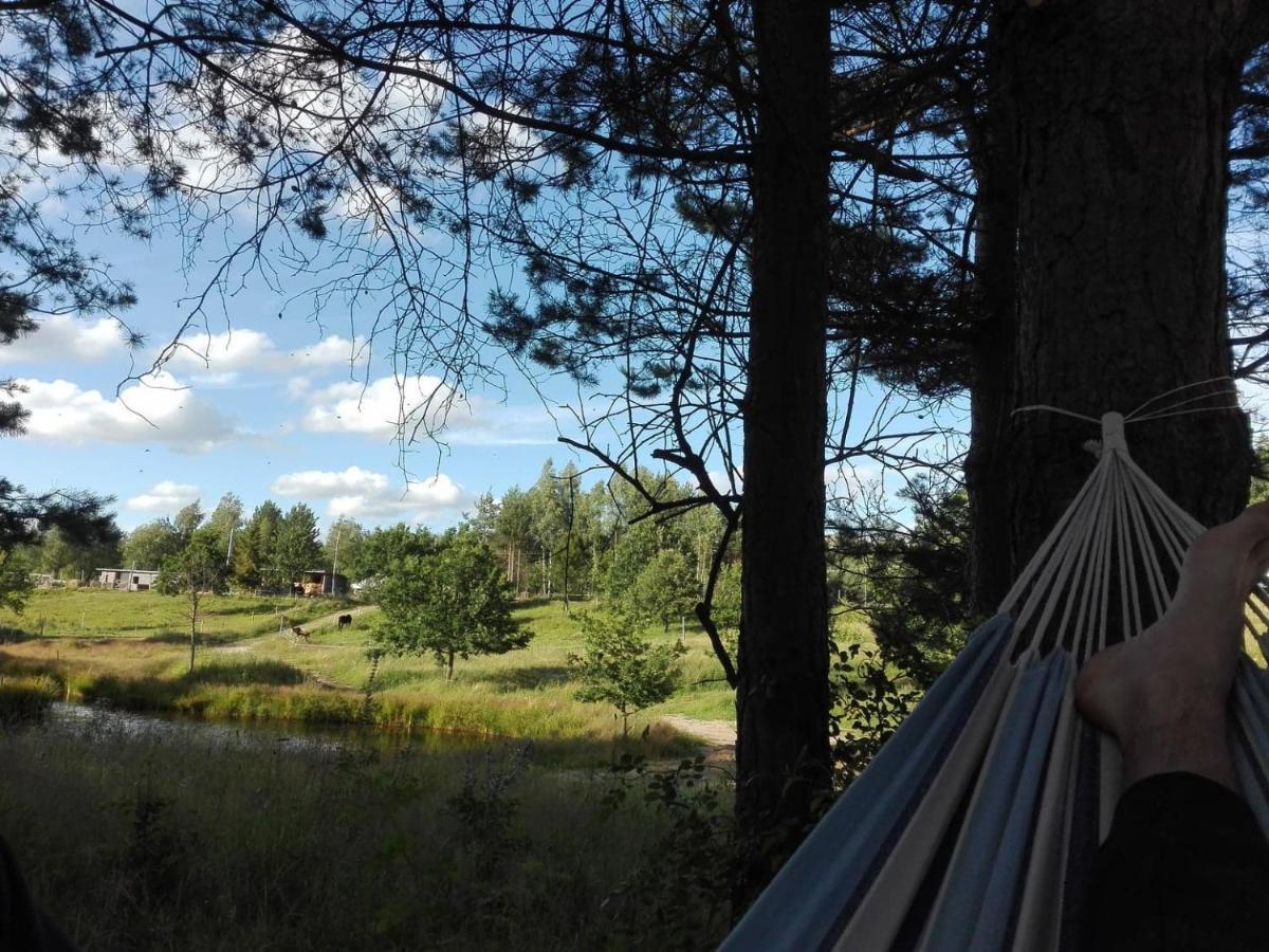 Koziula - Domki I Lesne Spa Na Kaszubach Przywidz  Exteriér fotografie