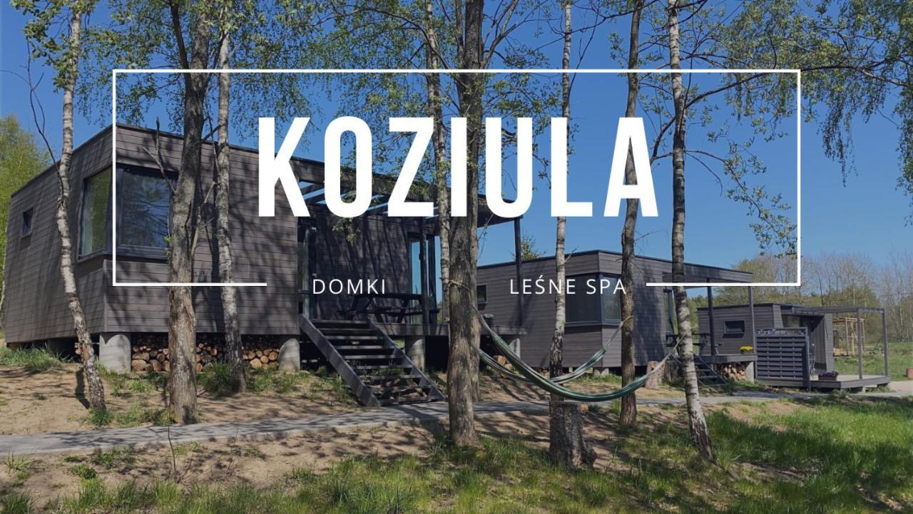 Koziula - Domki I Lesne Spa Na Kaszubach Przywidz  Exteriér fotografie