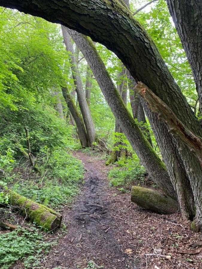 Koziula - Domki I Lesne Spa Na Kaszubach Przywidz  Exteriér fotografie