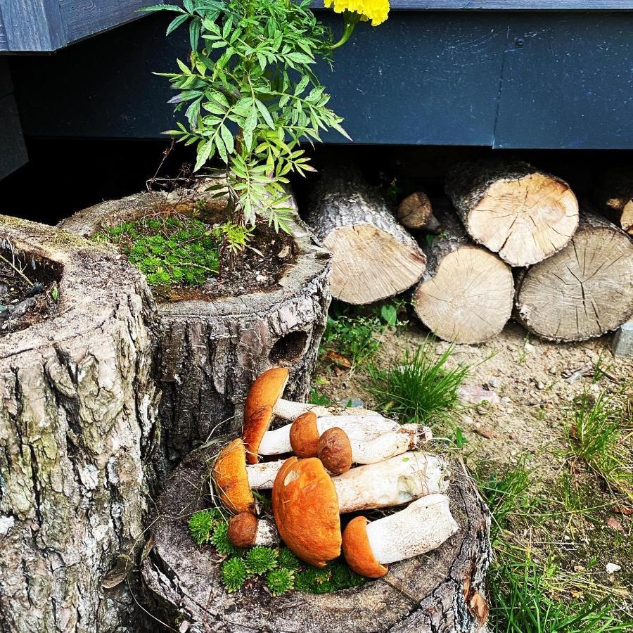 Koziula - Domki I Lesne Spa Na Kaszubach Przywidz  Exteriér fotografie