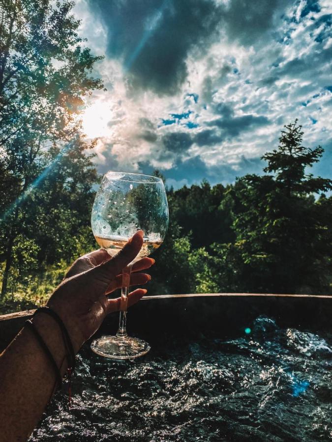 Koziula - Domki I Lesne Spa Na Kaszubach Przywidz  Exteriér fotografie