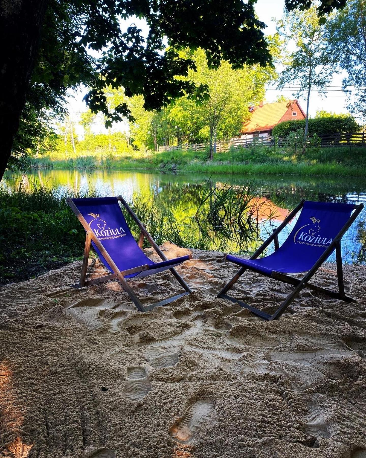 Koziula - Domki I Lesne Spa Na Kaszubach Przywidz  Exteriér fotografie